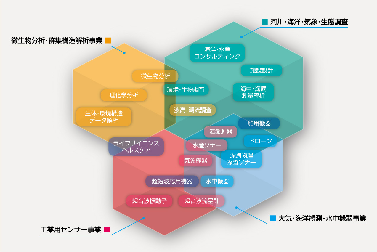 参入領域と事業群